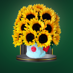 Blooming Sun - COD. 259