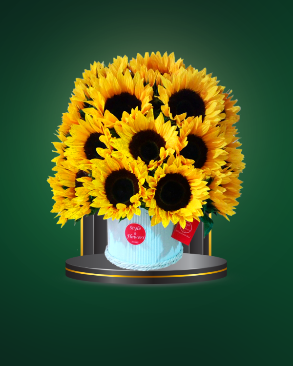 Blooming Sun - COD. 259