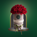 Amor en 24 – COD. 237