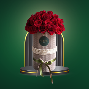 Amor en 24 - COD. 237