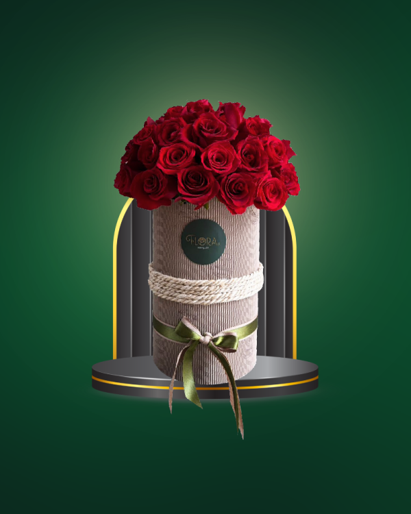 Amor en 24 - COD. 237