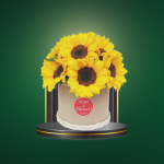 Sun Charm – COD. 291