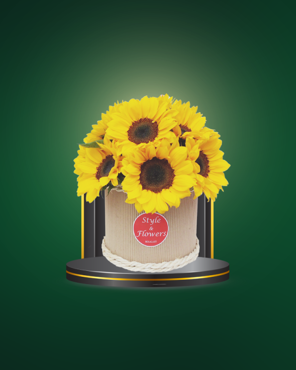 Sun Charm - COD. 291