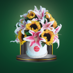 Golden Lily – COD. 278