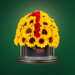 Black Box Girasoles – COD. 347