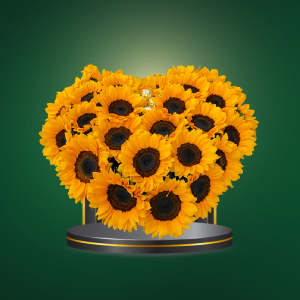 Sunflower heart - COD. 342