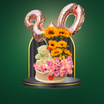 Sweet Girl – COD. 348