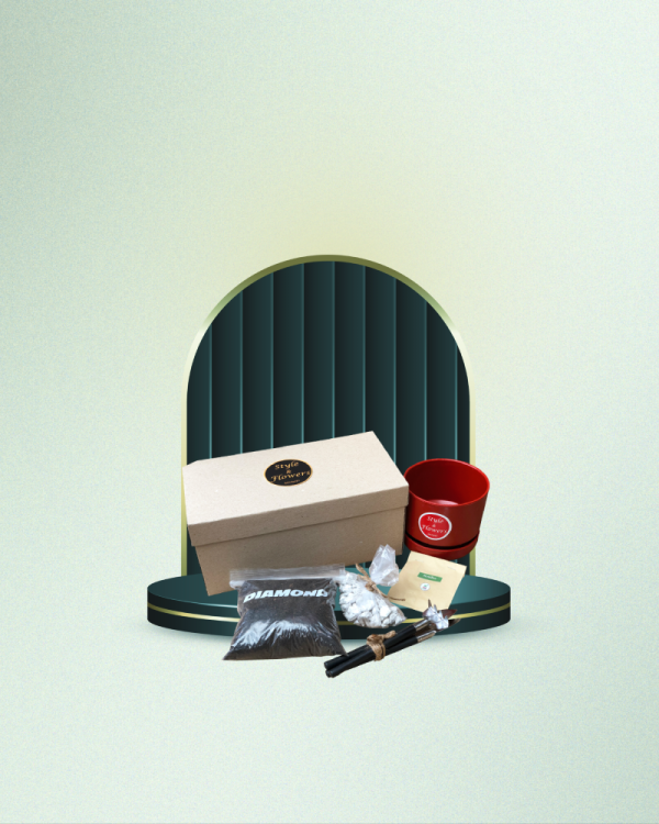 Plant Box - COD. 380