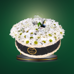 ENVIO GRATIS Margaritas blancas – COD. 438