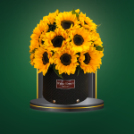 Sunflower – COD. 448