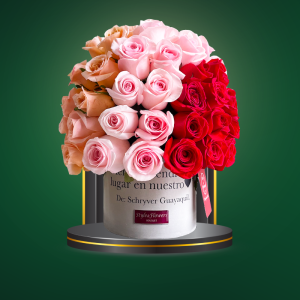 Romance - COD. 581