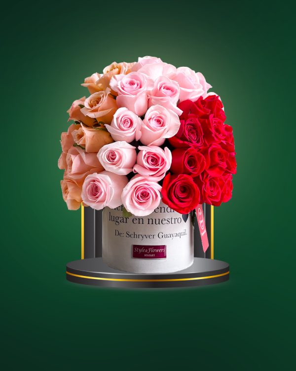 Romance - COD. 581