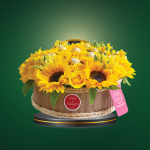 Sunshine Box – COD. 634